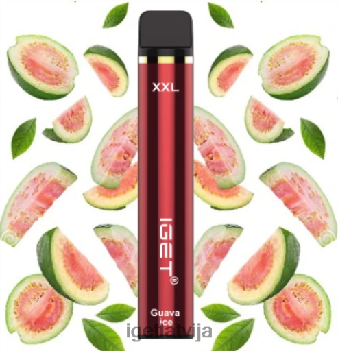 Iget Bar Online | iget xxl - 1800 piepūles N4HNB456 gvajaves ledus