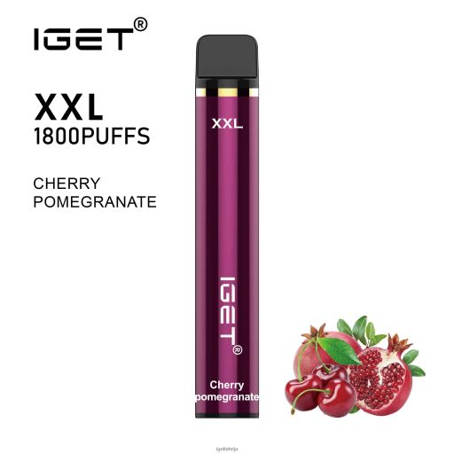 Iget Buy Online | iget xxl N4HNB50 ķiršu granātābols