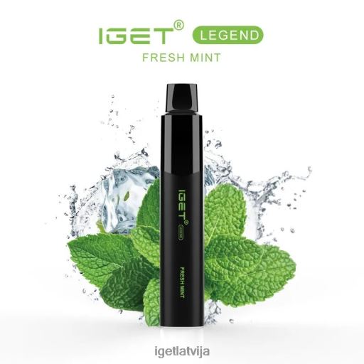 Iget Buy Online | iget legend - 4000 pūtieni N4HNB565 svaigs piparmētru ledus