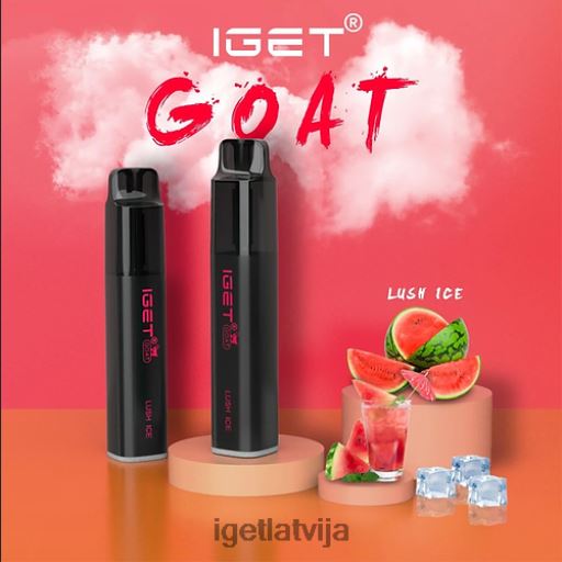 Iget Store | iget kaza - 5000 uzpūtienu N4HNB447 sulīgs ledus