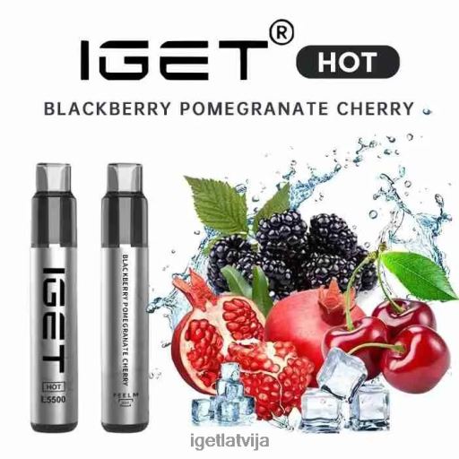 Iget Buy Online | uzkarst - 5500 uzpūtienu N4HNB650 kazenes granātābolu ķirsis
